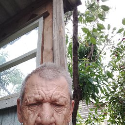 , 61 , 