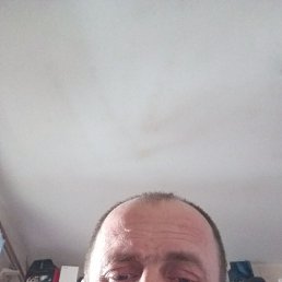 ������, 46 ���, �����������