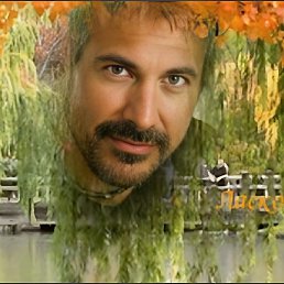 ���� ������, �������� - ��������� 22 ������� 2024