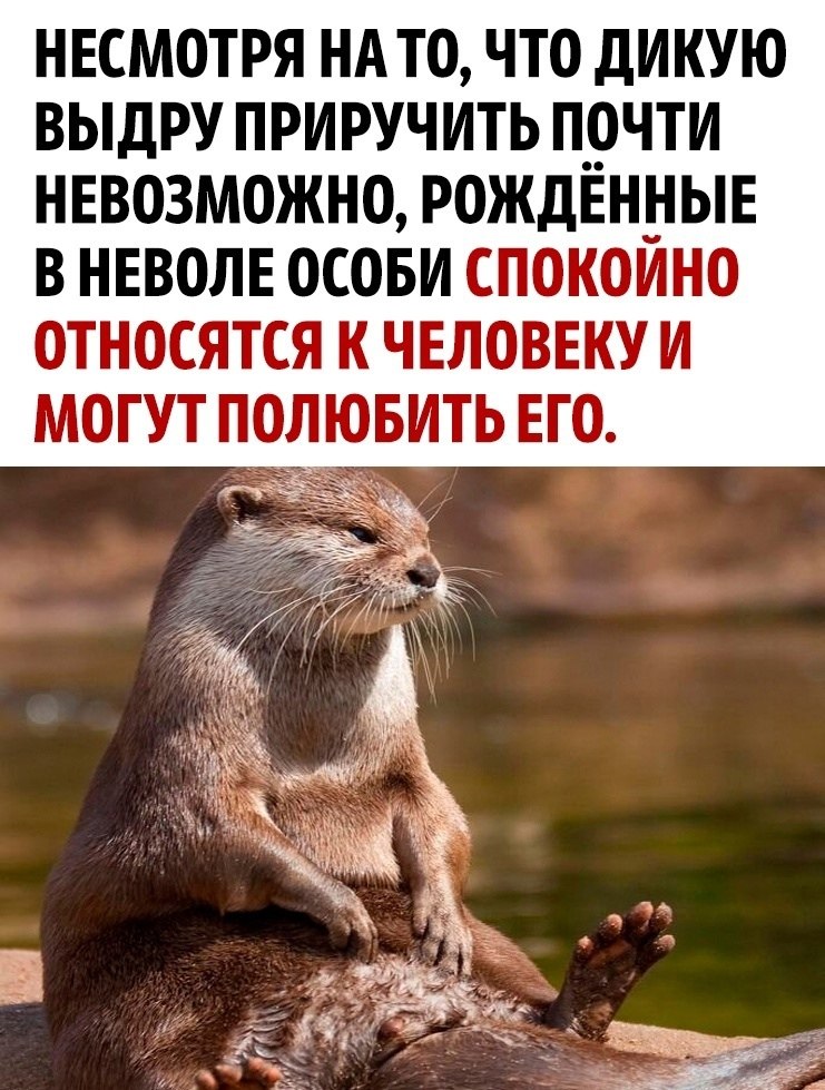     - 3