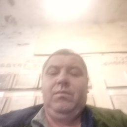 �������, 42 ����, �������