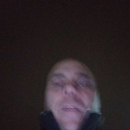 , 42, 