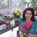 ���� �������, ����������, 68 ��� - ��������� 26 �������� 2025 � ������ ���� ����������
