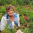 ���� ������, ������, 64 ���� - ��������� 11 ������� 2025 � ������ ���� ����������