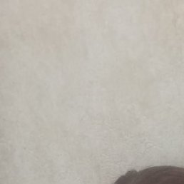 ��������, �����, 41 ���