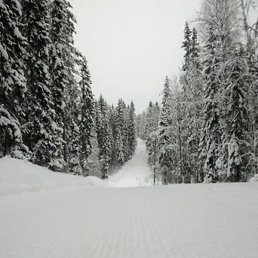 �����, ������, 43 ����