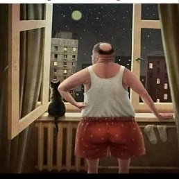 ����, ���������