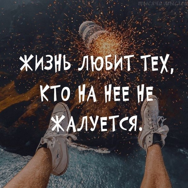 ☆ ☆ - 29  2023  12:42