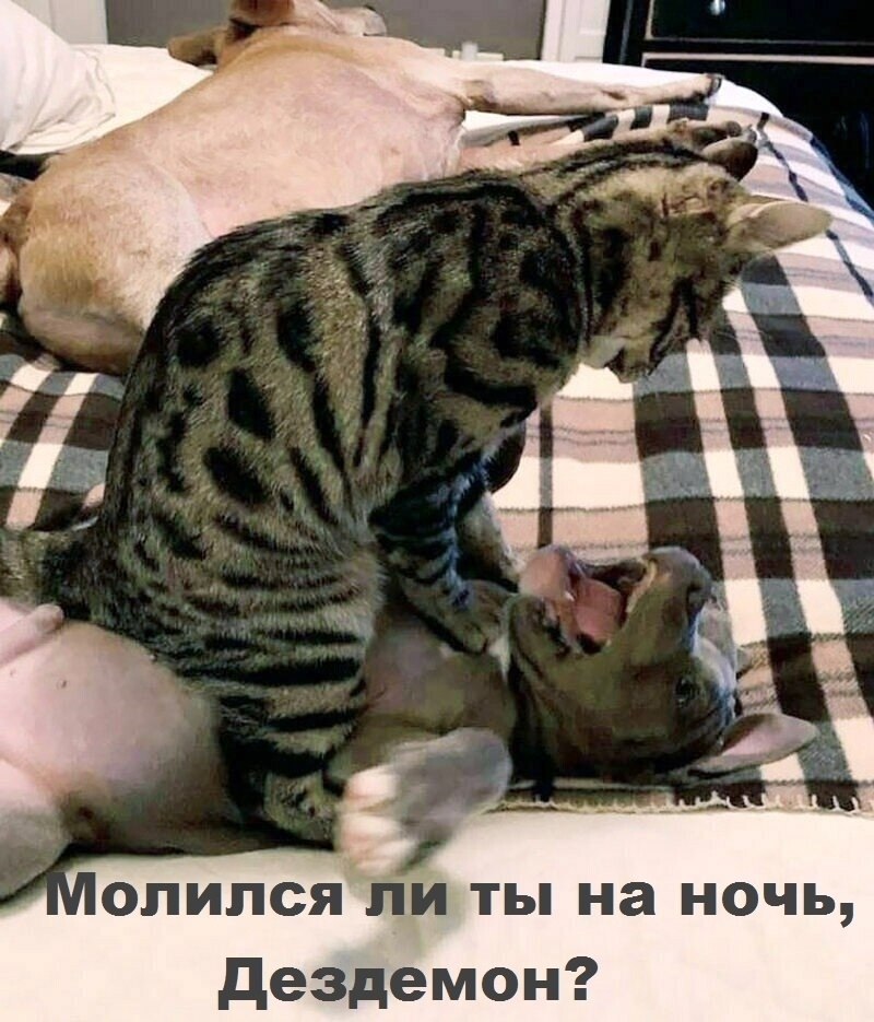   - 27  2025  21:58