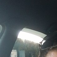 , 33 , 