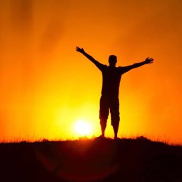 ����, �������, 51 ���