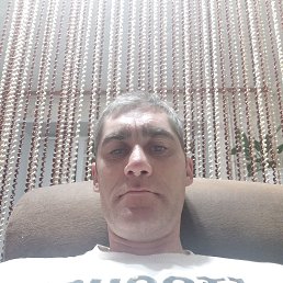 ���������, 41 ���, ������