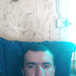 , 33, 