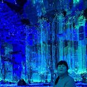 ���� �����, �����-���������, 52 ���� - ��������� 30 ������ 2026