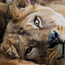 ���� ����, �����-���������, 38 ��� - ��������� 9 ������� 2025 � ������ ���� ����������