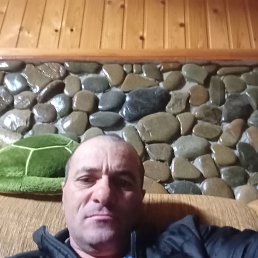 , 46, 