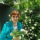 ���� ������, �������, 71 ��� - ��������� 20 ������ 2026 � ������ ���� ����������