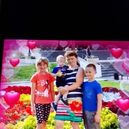 ���� �������, ������ ��������, 44 ���� - ��������� 5 ����� 2026