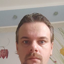 , 38, 
