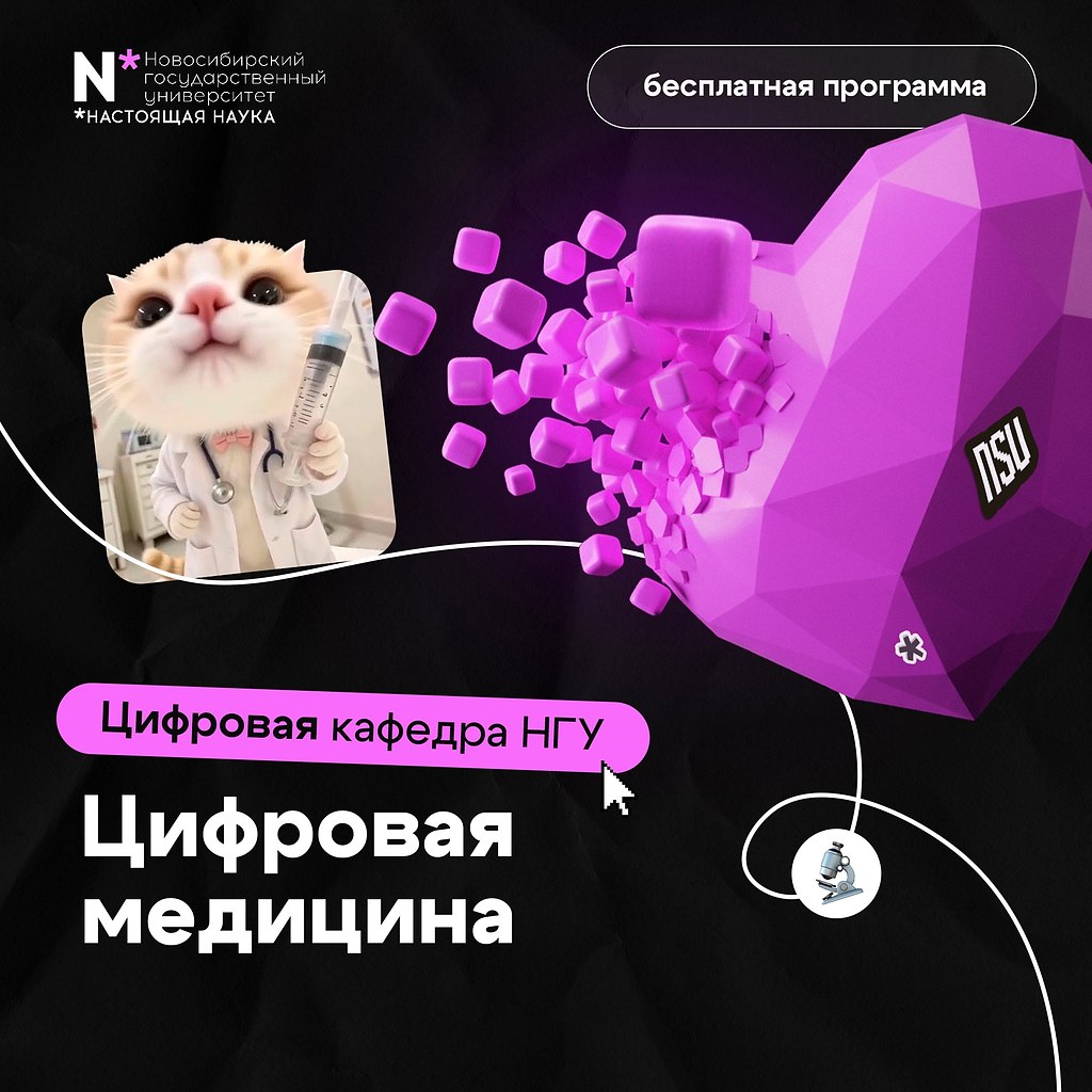 Получи дополнительную IT-профессию бесплатно! Новосибирский госуниверситет приглашает студентов на ... - 5