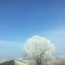 ���� �������, ������, 53 ���� - ��������� 5 ������� 2024 � ������ ���� ����������