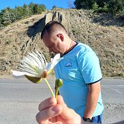 �������, 40 ���, �������