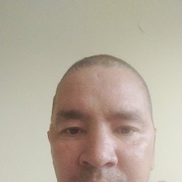 , 41 , 