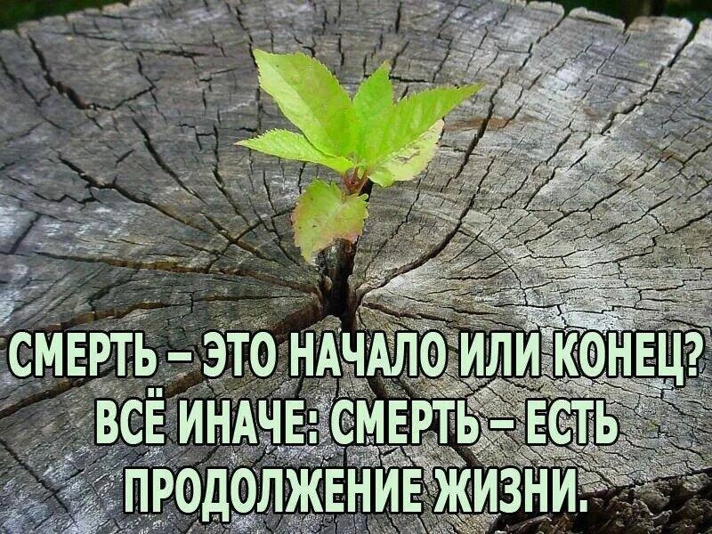  - 14  2025  15:15