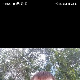 ������, 37 ���, ����