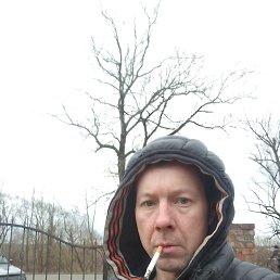 , 37, 