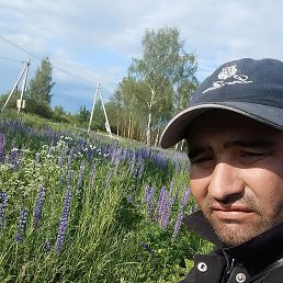    ., 19, 
