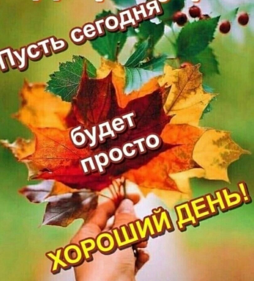   ,    . - 21  2025  23:56