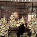 ���� �������, ����������, 50 ��� - ��������� 14 ������� 2026 � ������ ���� ����������