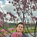 ���� ��������, ������ - ��������� 25 ������ 2025 � ������ ���� ����������