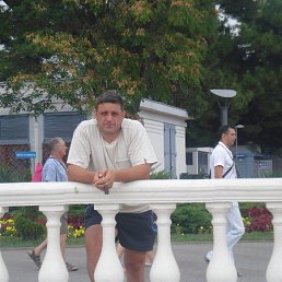 , 52, 