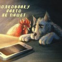 ���� �������, ������, 63 ���� - ��������� 29 ����� 2026
