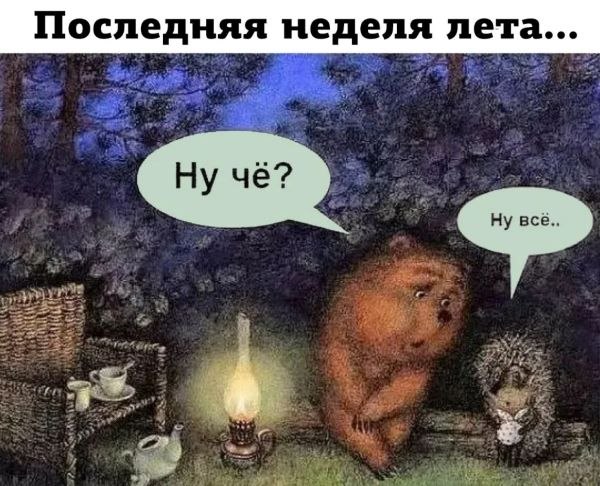   - 31  2024  20:49