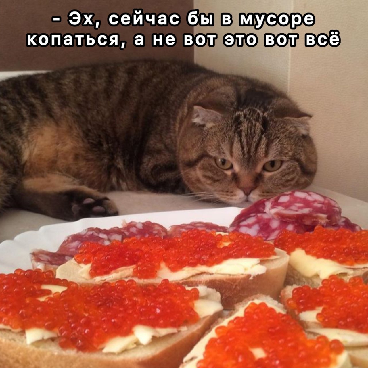     ,       - 