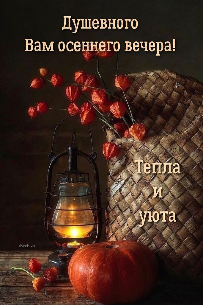   ,    . - 14  2024  18:53