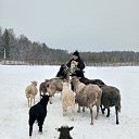  , -, 64  -  11  2025    