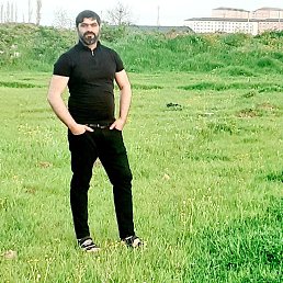 ������, 37 ���, ���������