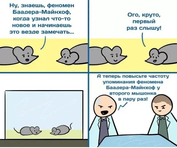 «Если ваши убеждения переплетены с представлением о себе, вы не сможете отбросить их, не пошатнув ...