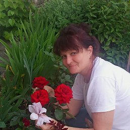 �����, ����, 51 ���