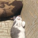 ���� �������, �����������, 41 ��� - ��������� 17 ����� 2024 � ������ ���� ����������