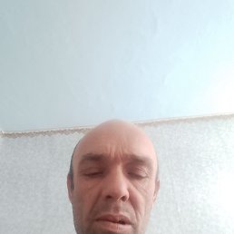������, 47 ���, ����������