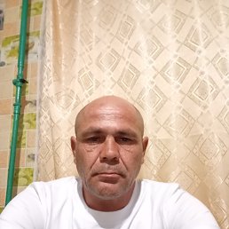 , 42 , 