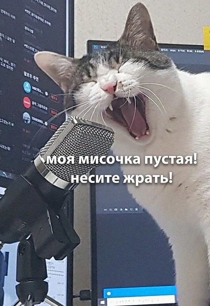 ��� �������� �������� - 14 ������� 2026 � 20:18 - 2