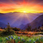 ����, 38 ���, ������