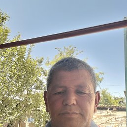 , 61, 