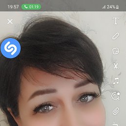  , , 51  -  31  2024